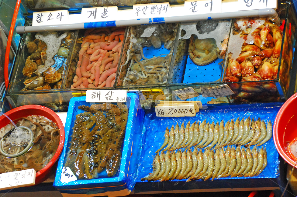 노량진수산시장,노량진,수산시장,수산,시장,해산물,수산물,해물,상점,가게,생선가게,점포,상업,소매,도매,어업,수산물시장,진열,장사,판매,하이앵글,실내,수조,소라,참소라,개불,낙지,뻘낙지,문어,멍게,해삼,새우,대하,신선한,싱싱한,시장,마트,마켓,market,mart,market place,음식,식재료,요리,food,cook,meal,dishes,food reserves,수산물,해산물,fishery products,seafood