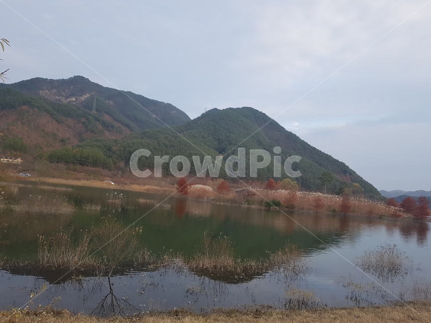 산,단풍,갈대,하늘,가을,가을,계절,fall,autumn,season,자연,풍경,nature,landscape,water,물,outdoors,옥외