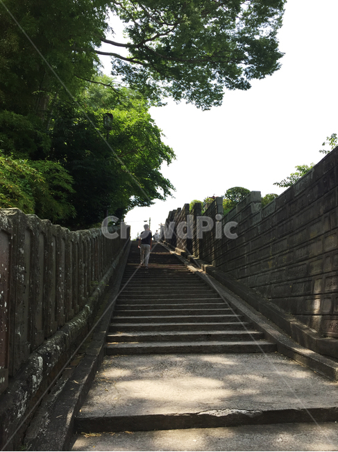 계단,오르다,힘들다,steps,climb,hard,자연,풍경,nature,landscape,outdoors,옥외,garden,정원,arbour,정자,handrail,난간,banister