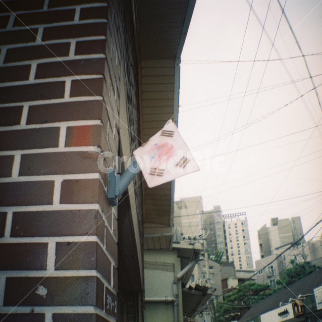 망원동,대한민국,한국,국기,태극기