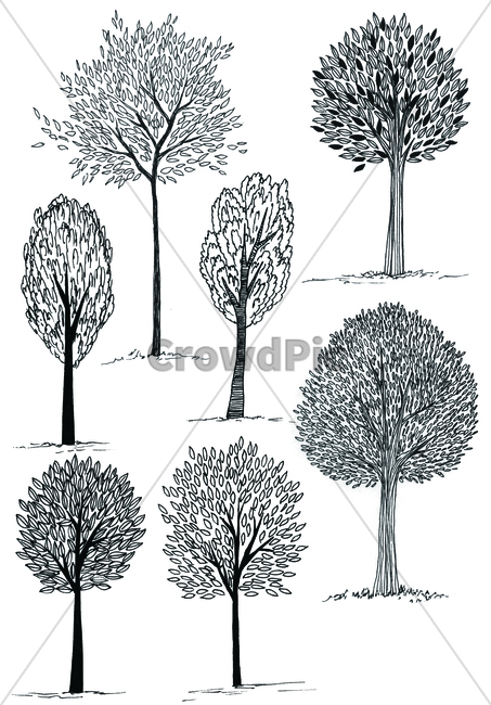손그림,handdrawing,팬그림,팬라인,pen,penline,penpicture,나뭇잎,leaf,foliage,umbrage,나뭇가지,bough,twig,sprig,branch,나무,tree,wood,pendrawing