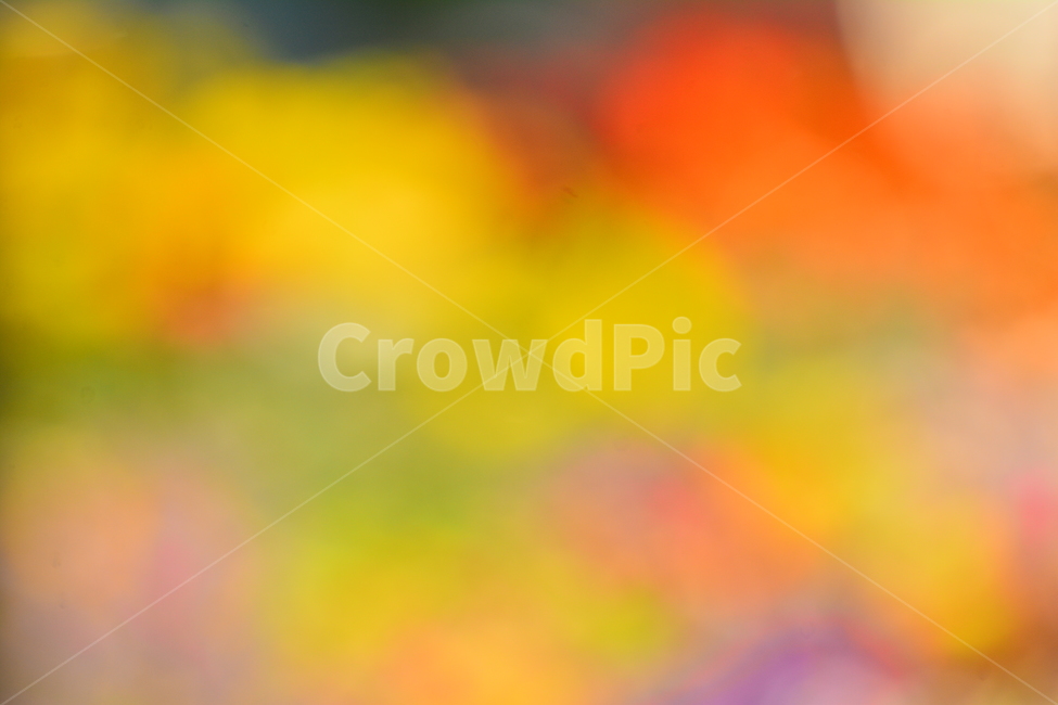 pink,color,catalog,yellow,dreamy,out of focus,spring,spring flowers,saturation,red,beautiful,spring image,sensibility,graphic source,advertisement,beautifulcolor,Emotion,Phil,flowers,green,violet,feeling,flower,Red,emotion,dream,background,purple,pastel t