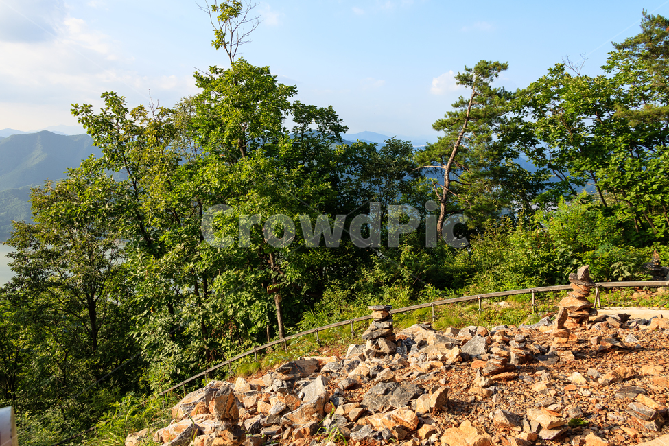 모노레일,비봉산,활공장,나무,숲,자연,풍경,nature,landscape,ground,바닥,dirt road,흙길,gravel,자갈,road,도로,rubble,파편