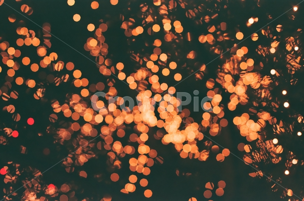 전구,빛,LED,bokeh,빛축제,light,원,brown,red,star,별,야경,밤,풍경,nightscape,night,landscape,감성,sensible,feeling,nature,자연,outdoors,옥외