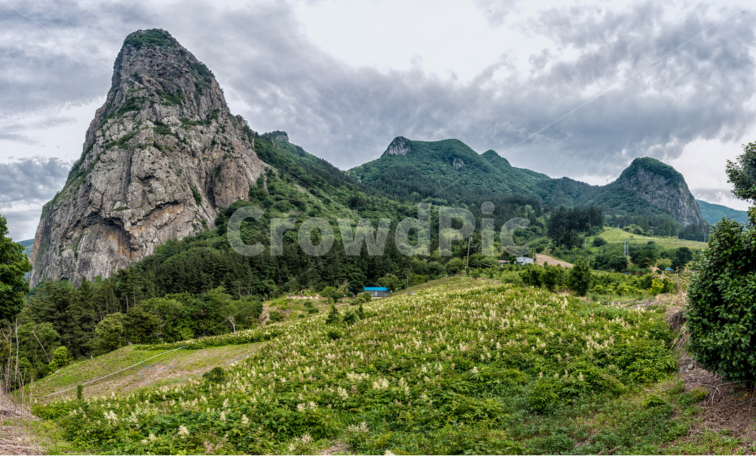 울릉도,송곳산,북면,관광지,동해,암석,산,자연,풍경,nature,landscape,한국자연풍경,한국자연경관,korea nature landscape,outdoors,옥외,hill,언덕