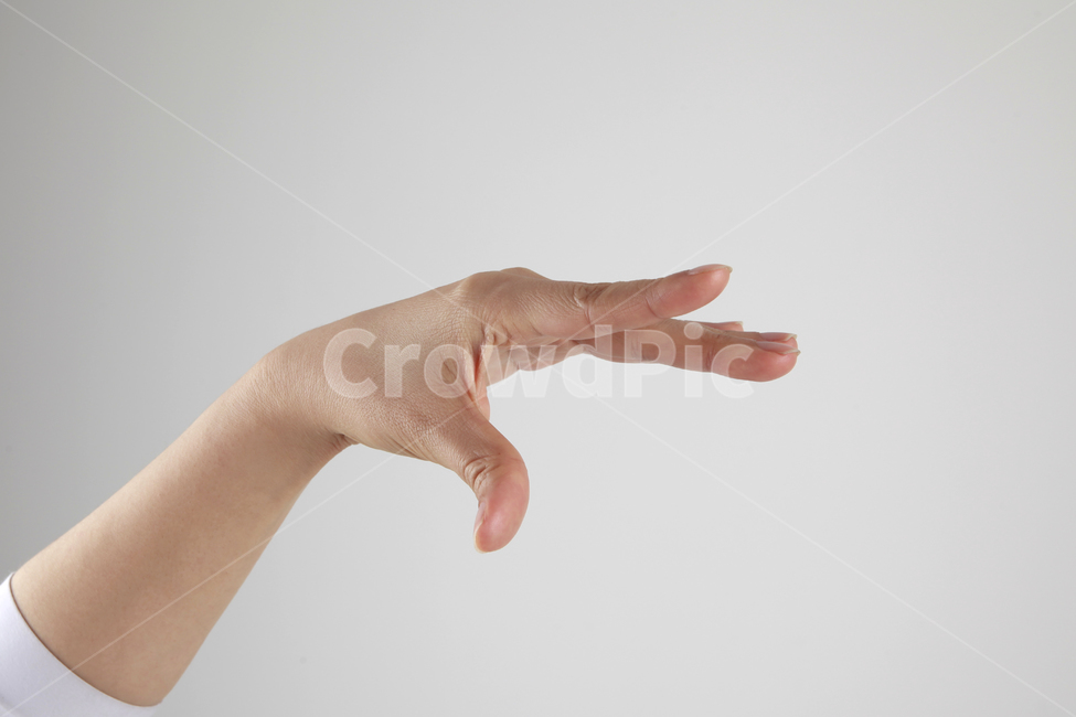 손,핑거,손가락,손모양,여러가지손모양,손포즈,손가락포즈,사람,인물,인간,human,person,신체일부,몸,body,손,제스처,표시,손짓,표현,gesture,hand,sign,expression
