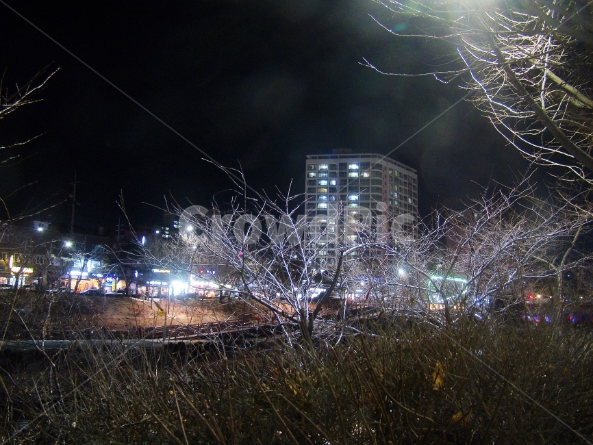야경,배경,겨울,분위기,밤,야경,밤,풍경,nightscape,night,landscape,도시,city,nature,자연,outdoors,옥외