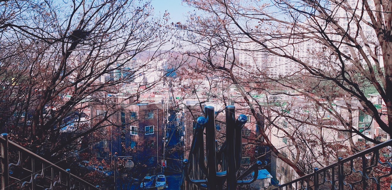 배경,가을배경,나무,계단,하늘