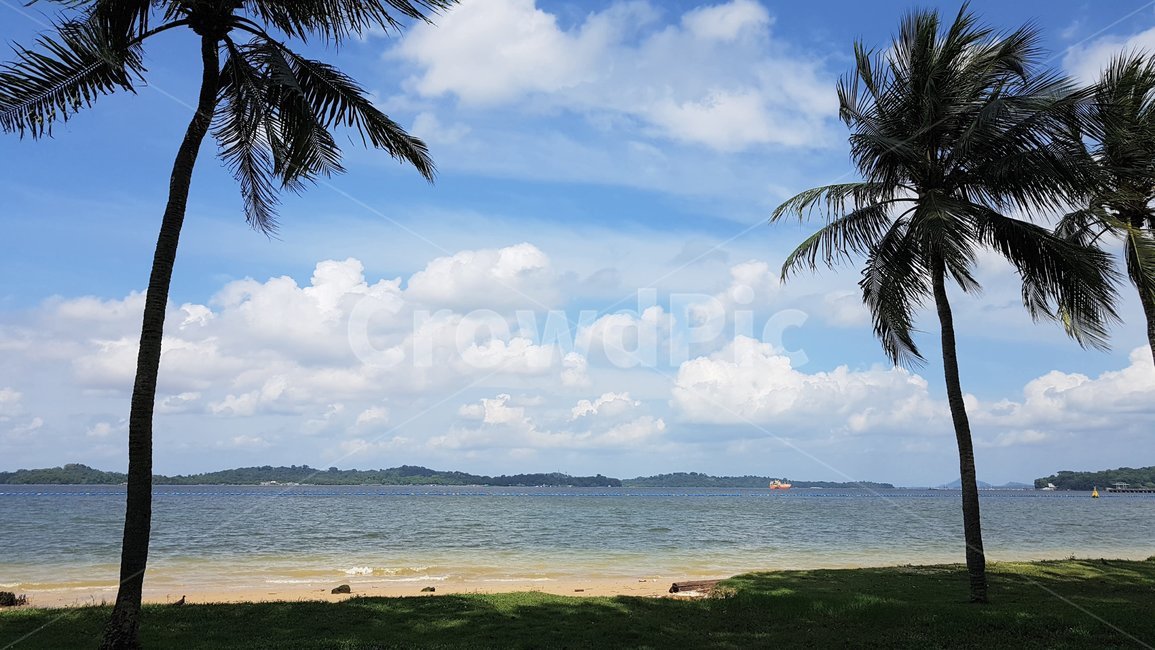 여름바다,해안,바다풍경,휴가,summer,sea,ocean,tropicaltrees,seascape,landscape,vacation,clouds,sky,구름,하늘,바캉스
