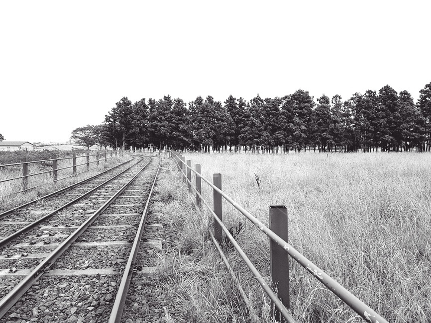 기차,기찻길,train,railroad,railwayline,track,대자연,흑백,모노톤,monochrome,black and white,교통,교통수단,traffic,transportation