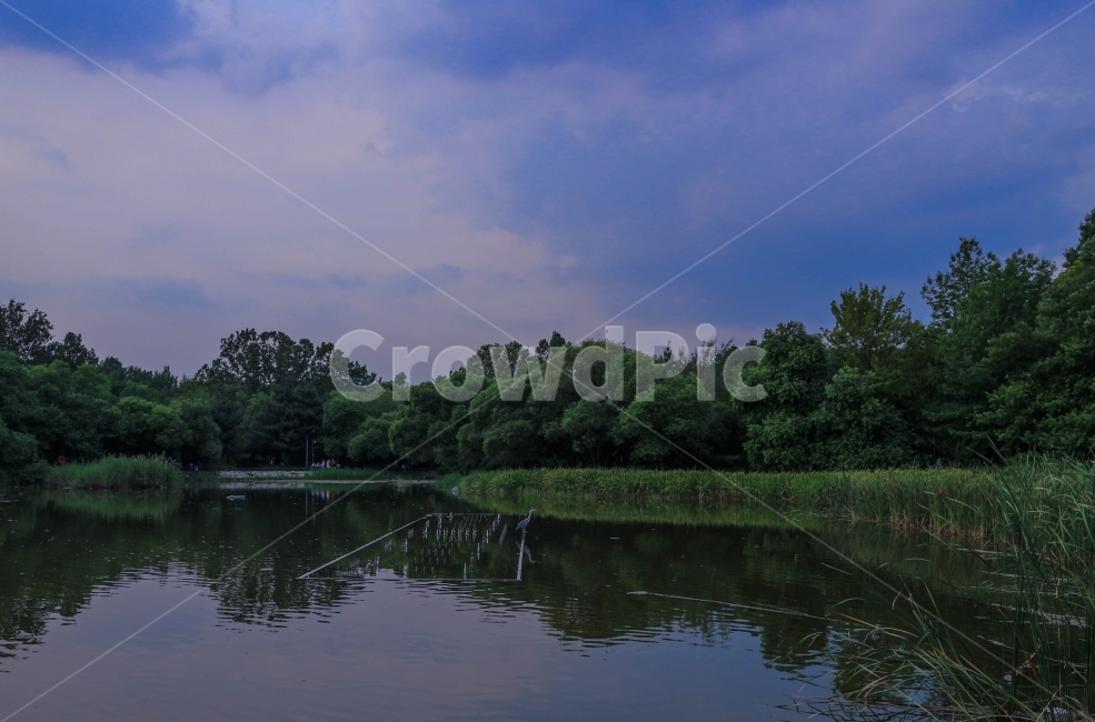 자연,공원,호수,숲,풍경,풍경사진,nature,park,하늘,서울숲,lake,reflection,반사,sky,green,forest,tree,trees,나무,seoulforest,view,camera,카메라,출사,자연,풍경,nature,landscape,water,물,outdoors,옥외