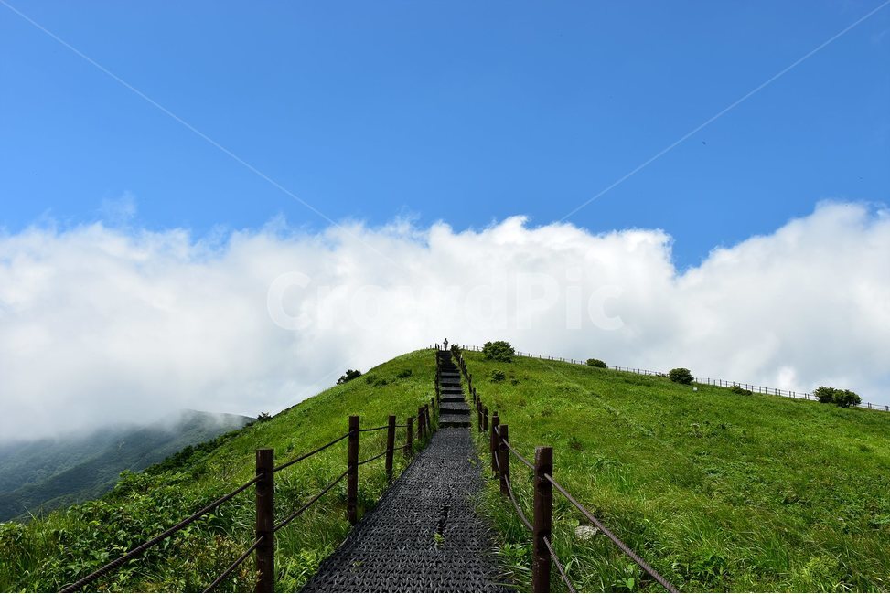 소백산,풍경,초록,자연,여름,경치,비경,등산,산행,힐링,아름다운,계절,명산,국립공원,nature,landscape,능선,구름,운해,장관,자연,풍경,nature,landscape,grassland,목초지,field,들,outdoors,옥외
