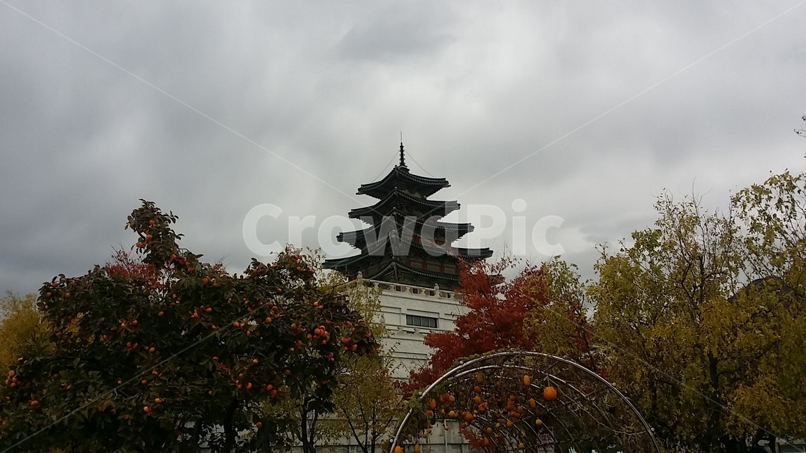 건축물,탑,건물,가을,만추,가을,계절,fall,autumn,season,건축물,건물외관,exterior,building,structure,architecture,construction,worship,예배,pagoda,temple,신전,shrine,신사
