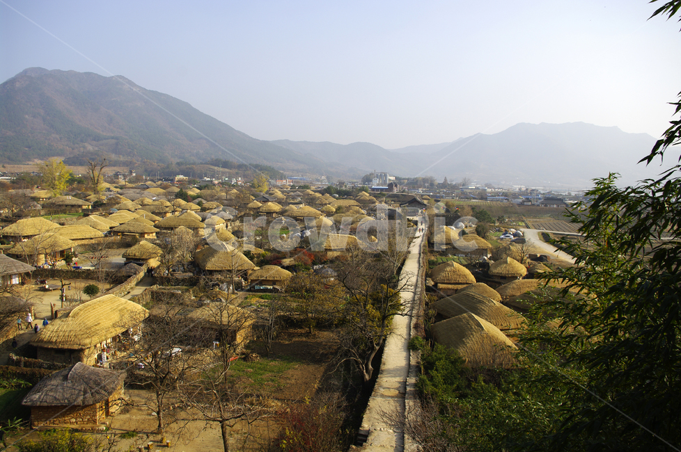 초가지붕,전통가옥,한국,마을,읍성,풍경,낙안읍성,시골,마을,풍경,landscape,country,rural,town,한국전통,한국문화,korean traditional,korean culture