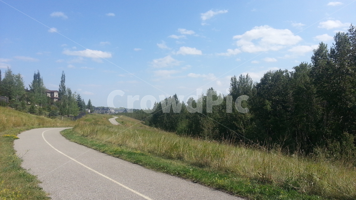 길,나무,산책,하늘,풍경,공원,자연,nature,way,road,tree,walk,walking,backgroun,park,sky,scenery