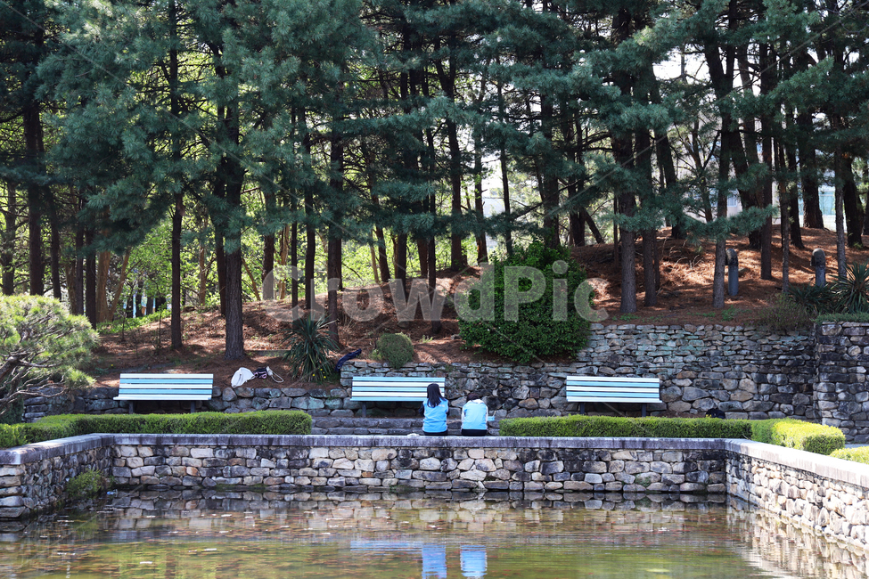 tree,plant,식물,충남대,연못,그림자,물,pond,lake,캠퍼스,나무,풍경,벤치