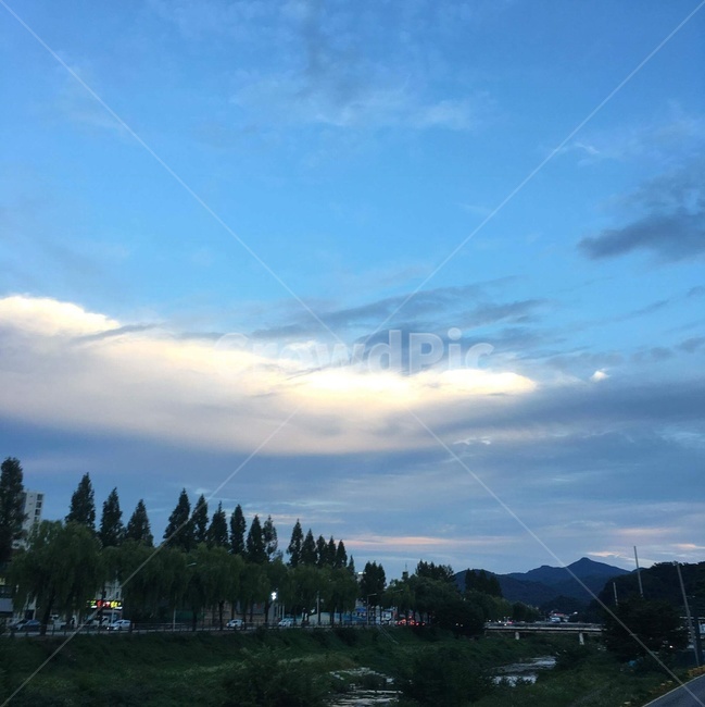 천변,하늘,구름,일상,우울,자연,풍경,nature,landscape,tree,나무,fir,전나무,plant,식물