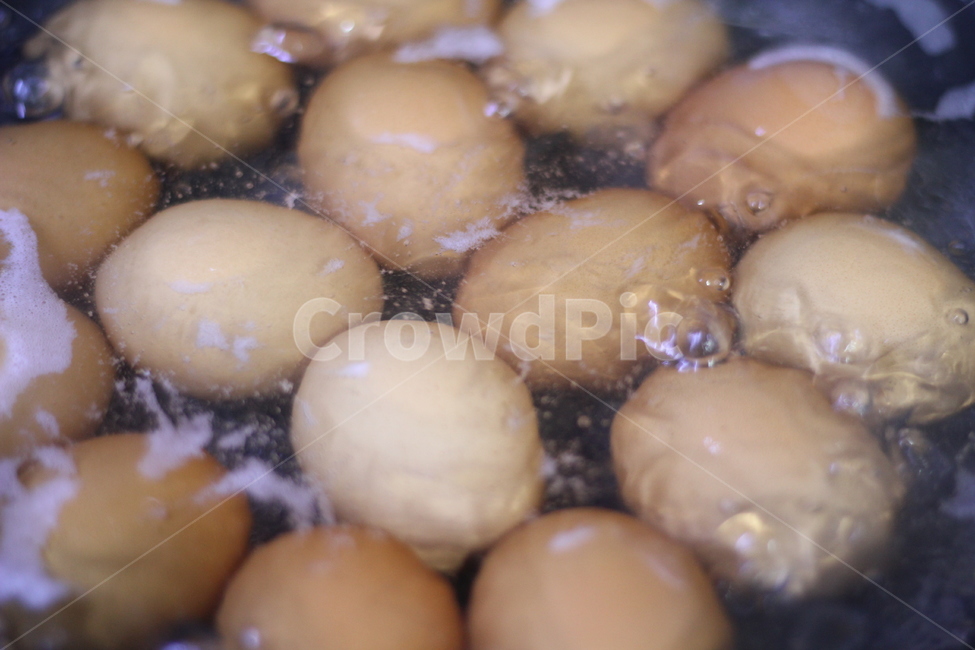 계란,달걀,삶은달걀,물,egg,food,음식,온수,수증기,끓는물,계란껍질,닭,암탉,음식,식재료,요리,food,cook,meal,dishes,food reserves