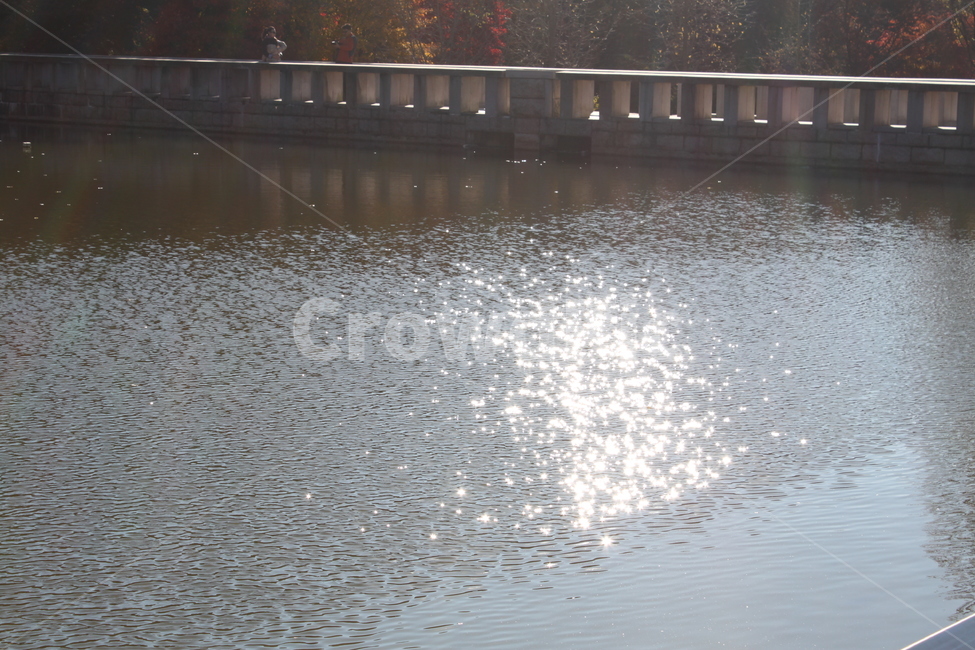 water,물,nature,자연,햇빛,강,자연,풍경,nature,landscape