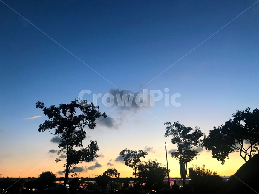해질녘,seoul,sky,night,sunset,park,landscape,nature,자연,outdoors,silhouette,실루엣