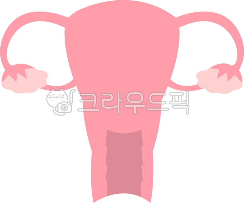 자궁,자궁경부암,자궁암,여성,산부인과,장기,자궁아이콘,건강검진,자궁일러스트,uterus,자궁검사,세계여성의날,여자,해부학,자궁svg,질,난소