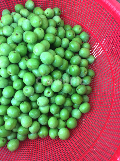 매실,바구니,green,red,plum