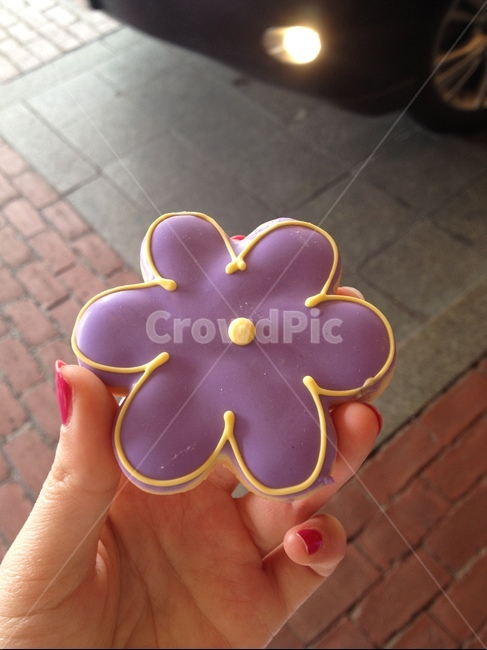 도넛,donut,꽃,모양,손,flower,shape,hand