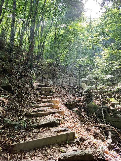 산,등산,계단,산길,계곡,빛,나무,햇살,나뭇잎,땅,흙,낙엽,자연,햇빛,자연,풍경,nature,landscape,나무,trees,wood,ground,바닥,slate,슬레이트