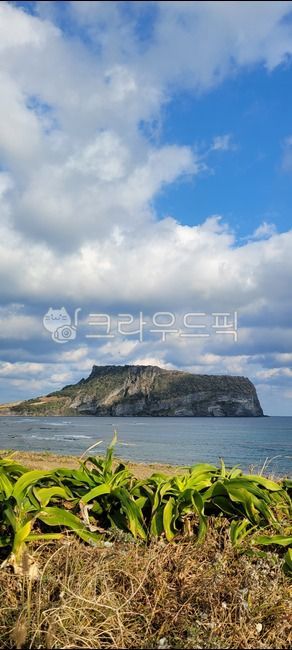 성산일출봉,제주도,광치기해변,문주란,자생식물,바다,하늘,구름,nature,자연,해안선