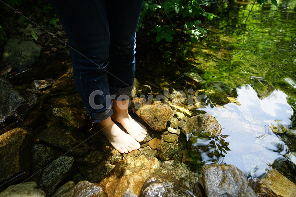 계곡,나들이,산책,물,산,발,여름,계곡물,물놀이,썸머,summer,냇가,계절,자연,여름,계절,summer,season,자연,풍경,nature,landscape,사람,인물,인간,human,person,신체일부,몸,body