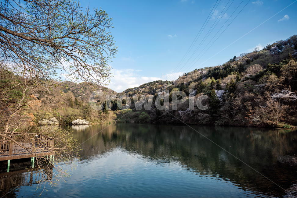 반영,호수,봄,봄꽃,휴양,풍경,풍경사진,자연,풍경,nature,landscape,한국자연풍경,한국자연경관,korea nature landscape,water,물,outdoors,옥외
