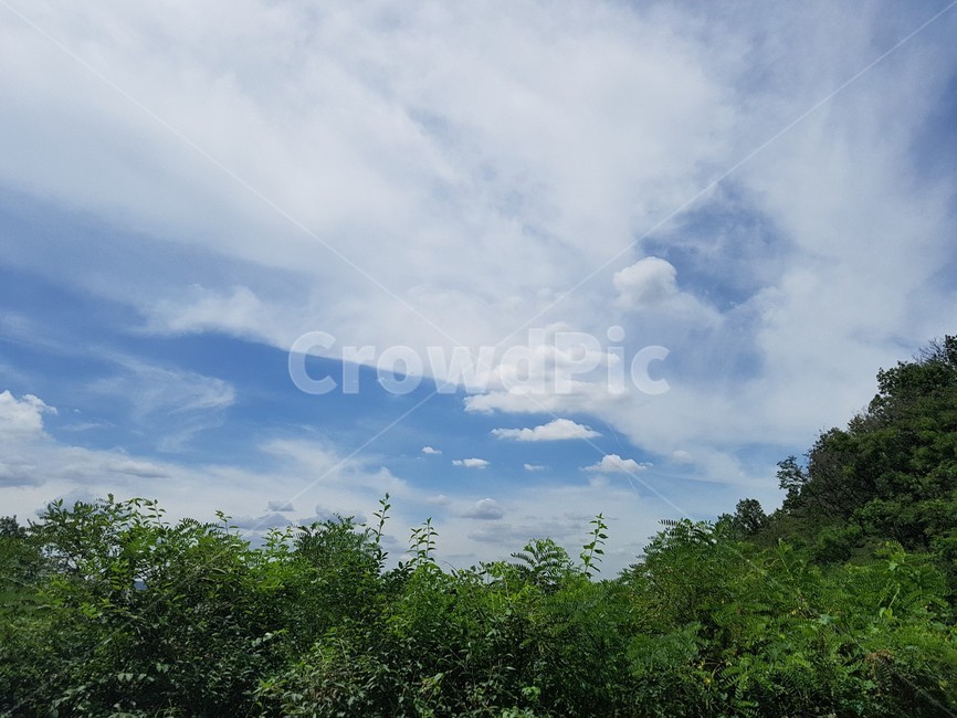 하늘,구름,파랑색,화창,좋은날씨