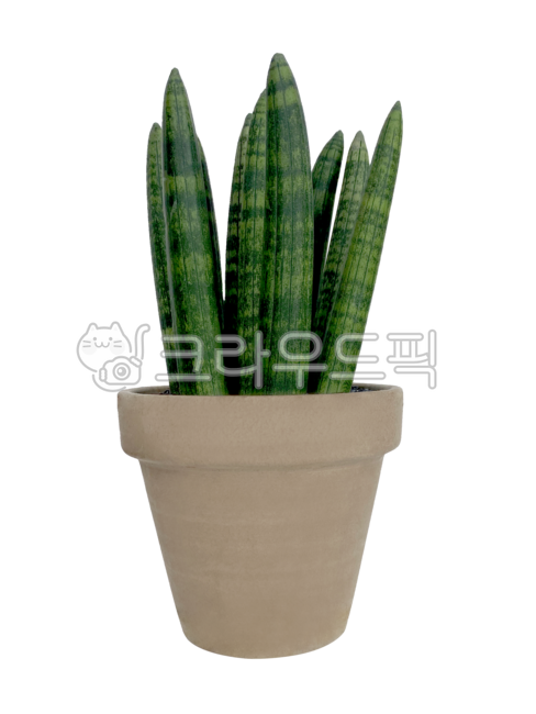 clay pot,planterior,Stucky,air purification,succulents,air purifying plants,stuckyi,pot,plants,flowerpot,plant,Planterior