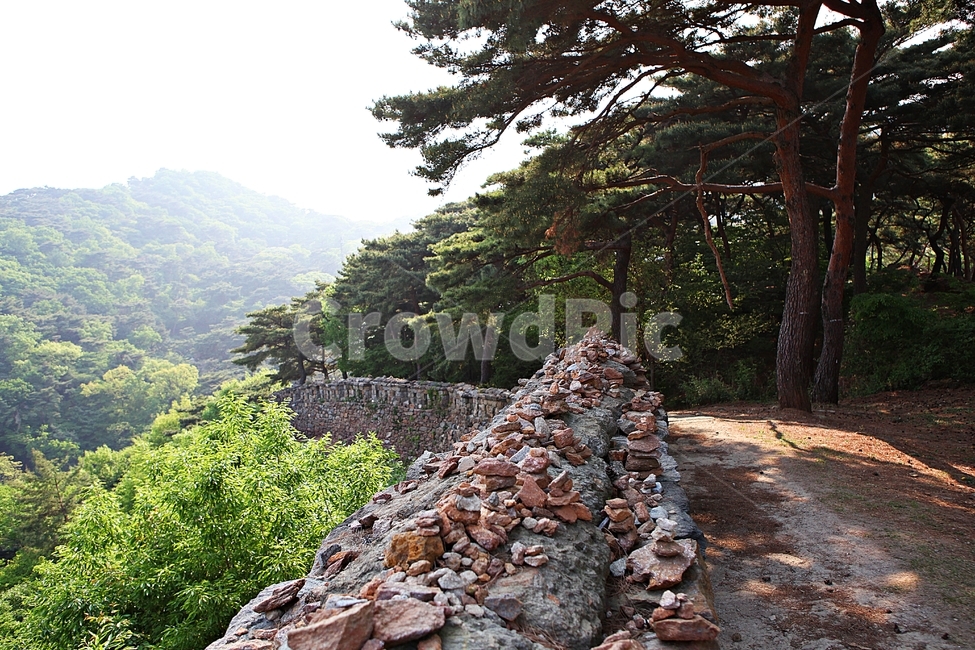 성,전등사,전등사성곽,돌담,숲길,자연,배경,풍경