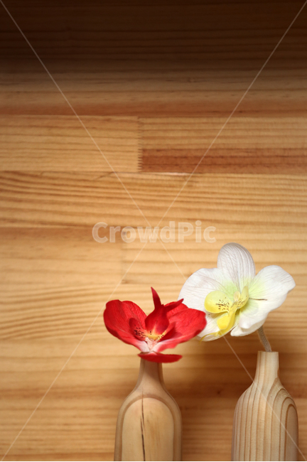 소품,꽃,디퓨저,인테리어,우드,사물,꽃,flower,실내용화초,화분,화초,house plant,인테리어,실내디자인,interior design