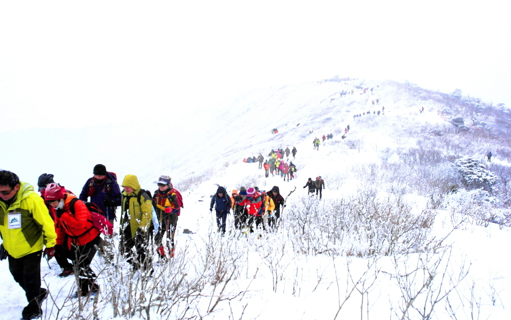 태백산,등산객,겨울산행,눈밭,겨울,winter,snow,climber,취미,여가,쉼,여유,habbit,taebaekmountain,태백시,백두대간,눈길,등산복,강원도,adventure,모험,leisureactivities,레저활동,human,인간,outdoors,nature,옥외,자연,겨울,계절,winter,season,사람들,대중,군중,other people,crowd