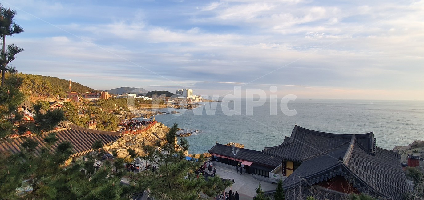 일출풍경,바다,해,새해,남해,sea,sun,wkdus,nature,새벽,황혼,일몰,햇빛,하늘,옥외,바다일출,신년,한국자연풍경,해돋이,절,자연,경치