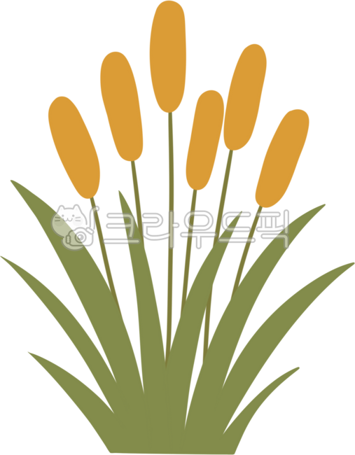 갈대,갈대밭,갈대그림,갈대일러스트,가을,가을식물,억새,억새풀,입추,가을요소,가을배경,가을꾸미기,가을장식