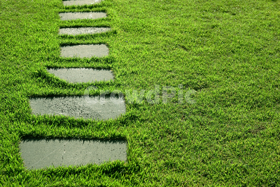 잔디밭,징검다리,돌다리,잔디,앞마당,정원,자연,풍경,nature,landscape,plant,식물,grass,lawn