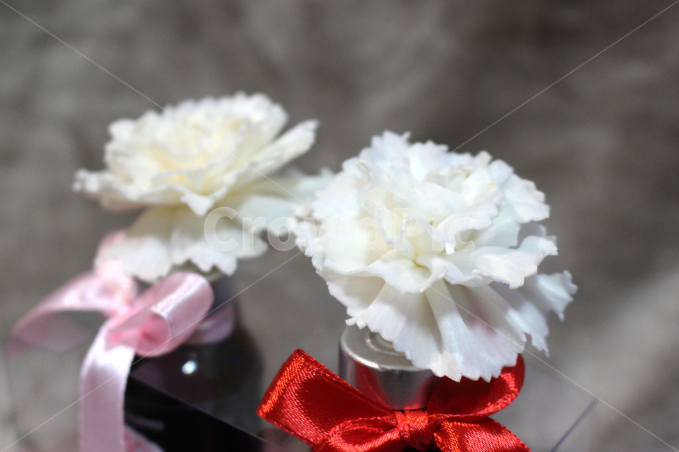 인테리어,소품,장미,꽃,flower,디퓨져,장미디퓨져,꽃디퓨저,식물,자연,plants,nature,꽃,flower