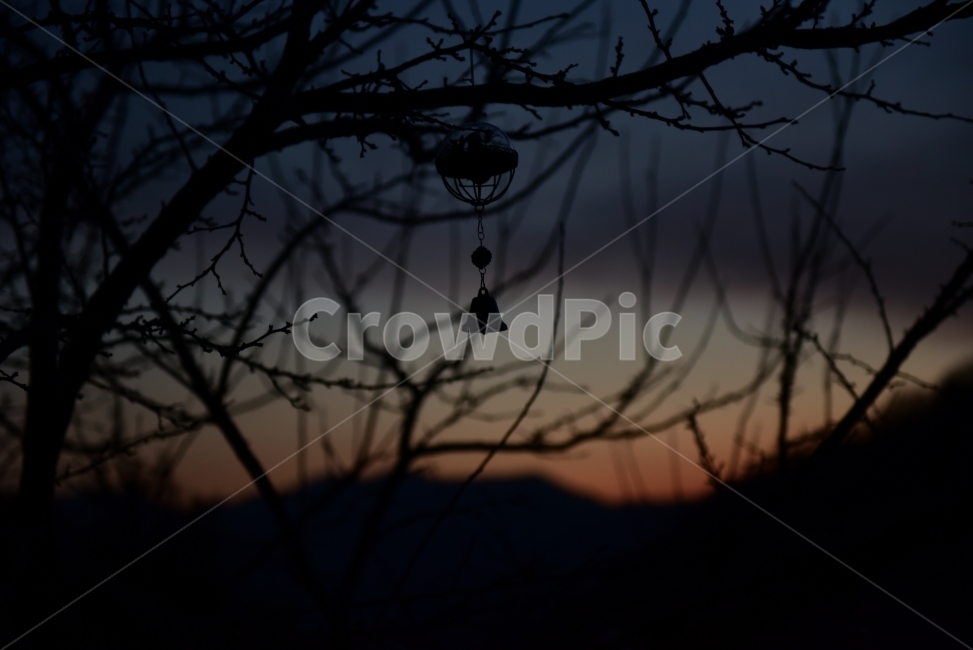 노을,감성,하늘,종,풍경,자연,풍경,nature,landscape