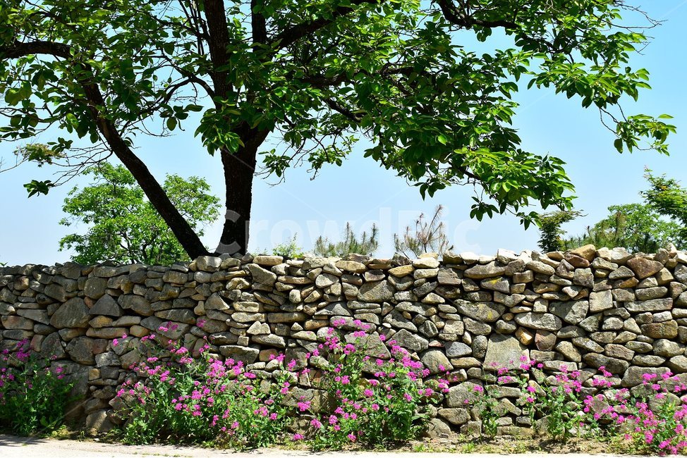 외암,민속,마을,풍경,힐링,landscape,돌담,자연,풍경,nature,landscape,wall,벽