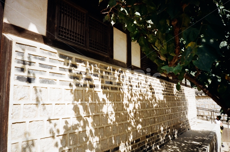 민속촌,한옥,기와집,전통한옥,한국,전통,korea,hanok,tradition,folkvillage,korean,traditional,house,film,35mm,필름,필름사진