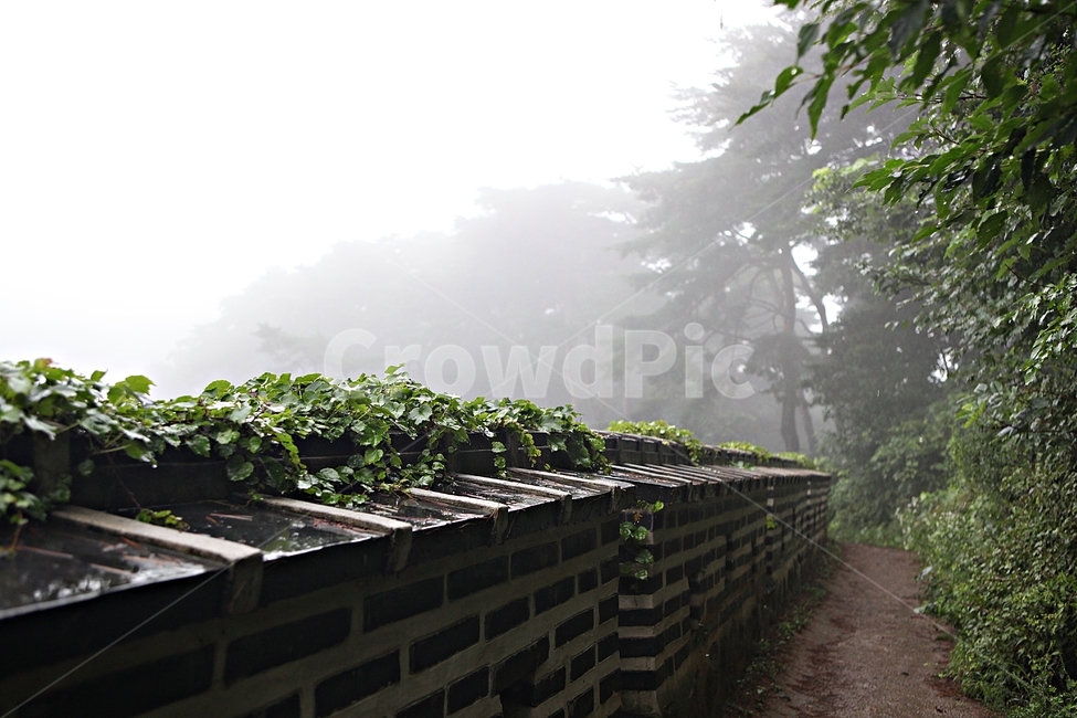 trail,stone wall,dam,forest,castle,road,forest path,Namhansanseong,wall,summer,fog