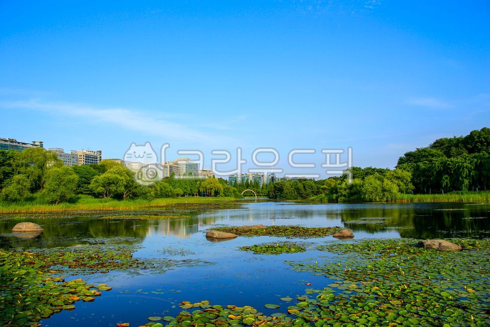 호수공원,공원,건물,고층건물,도시,중심지,도심,옥외,자연,나무,식물,호수,물,반영,하늘,구름,풍경,nature,outdoors,water