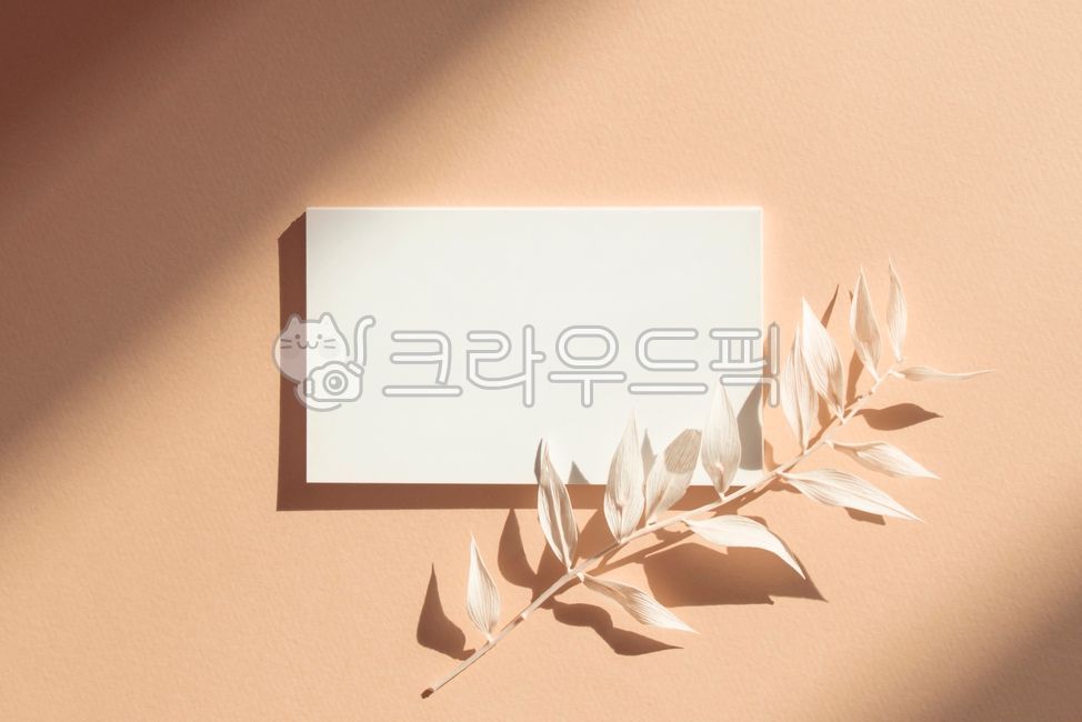 template,pink,hundred,blank,shadow,line,bright,memo,highlight,white,copy space,gap,alarm,business,emptied,message,leaf,mockup,beige,sunlight,light,background,shining,plant,silhouette,Business card,frame