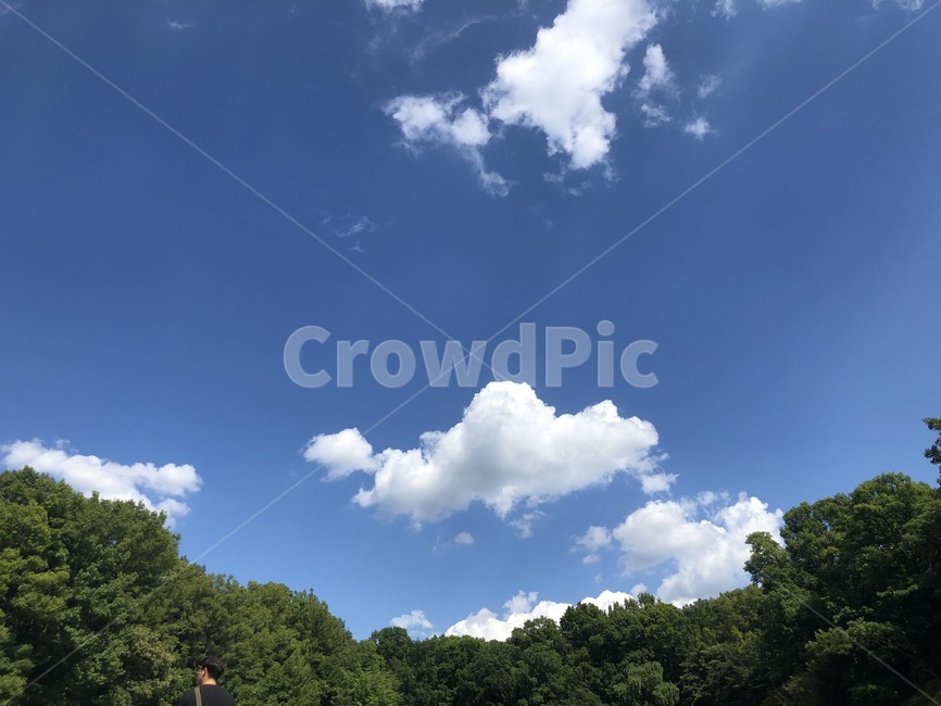 하늘,숲,풍경,구름,맑은하늘,sky,cloud,forest,배경,clearsky