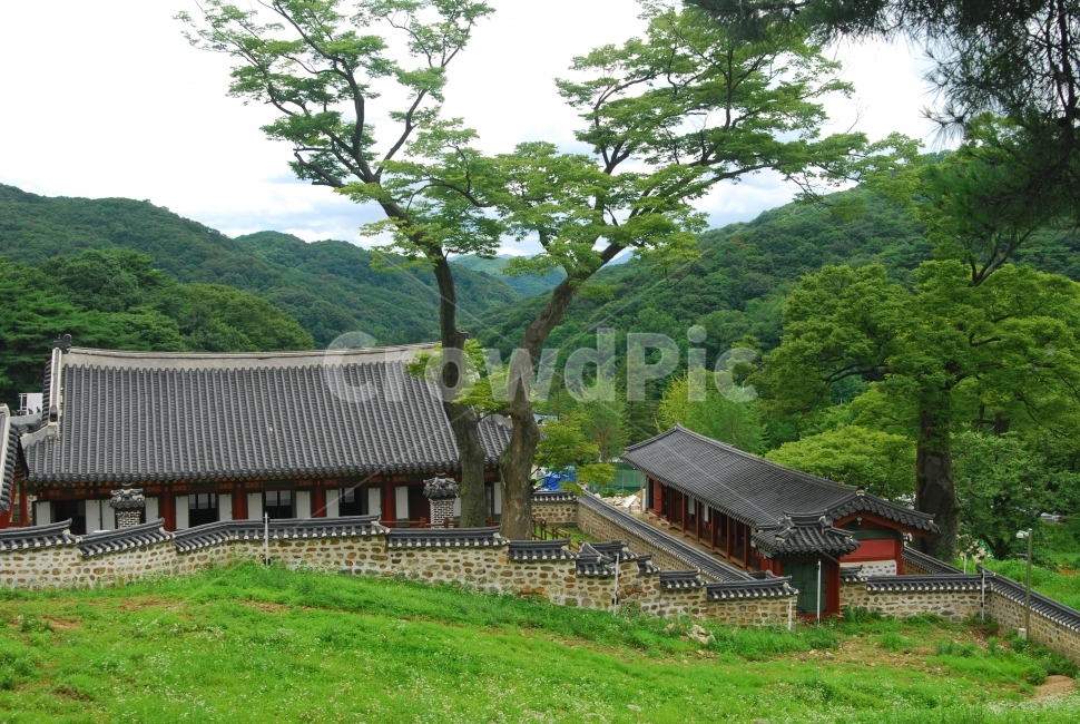 남한산성,행궁,궁,궁궐,고궁,산,한옥,건축,건축물,고건축,전통건축,한국,전통,한국전통,기와집,담,담장,자연,숲,나무,역사,한국전통,한국문화,korean traditional,korean culture,랜드마크,landmark,tourist attraction,한국랜드마크,한국관광지,한국명소,korea landmark,korea tourist attraction