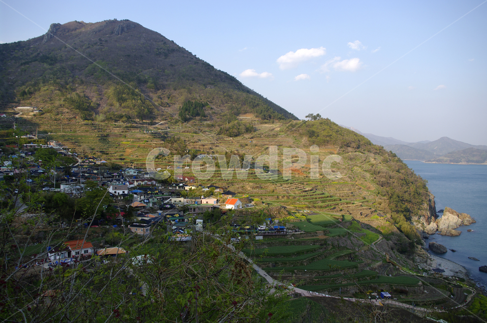 남해,가천마을,다랑이논,다랑이,풍경,나무,바다,논,마을,시골,마을,풍경,landscape,country,rural,town