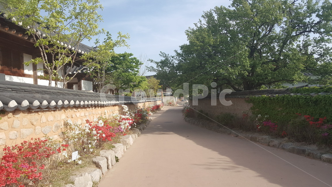 한옥,경주,기와집,돌담,문화재